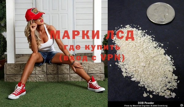 спайс Алзамай