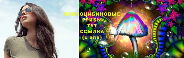 спайс Алзамай