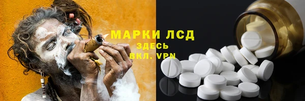 спайс Алзамай