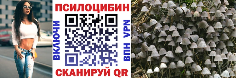 закладки  Чапаевск  mega как войти  Псилоцибиновые грибы ЛСД 