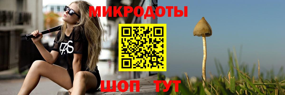Галлюциногенные грибы MAGIC MUSHROOMS  Вход с VPN  Чапаевск 